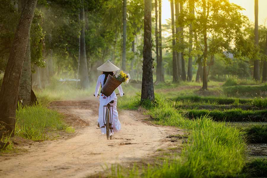 Woman on a bicycle in a vietnamese landscape